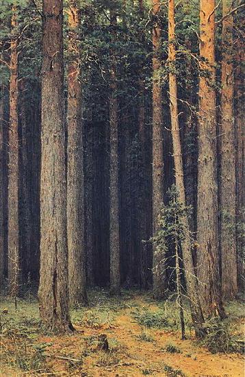 Ivan Shishkin Forest Reserve china oil painting image